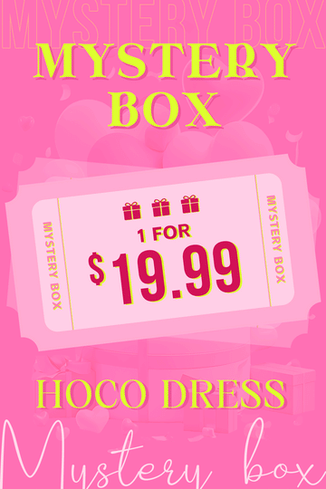 $19.99 Secret Homecoming Dress